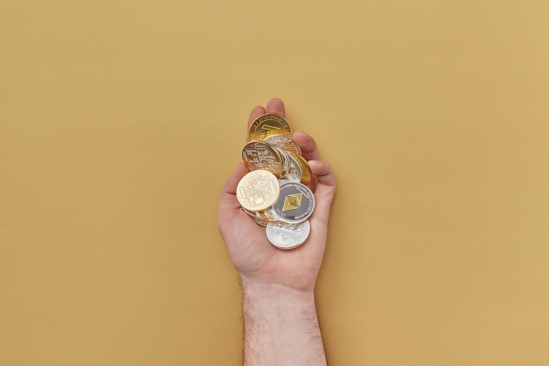 Hoskinson Urges Cardano to Define Purpose Beyond ADA's Price Decline