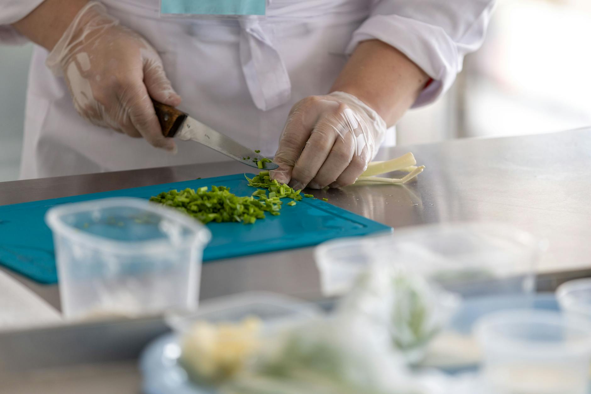 KAIKAKU.AI Trained an Ingredient Model on 4M Recipes — It Fits in 2MB